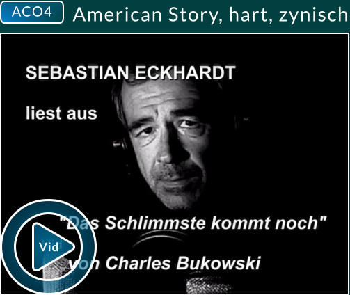 ACO4  American Story, hart, zynisch Vid Vid
